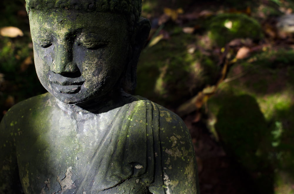 meditation-corps