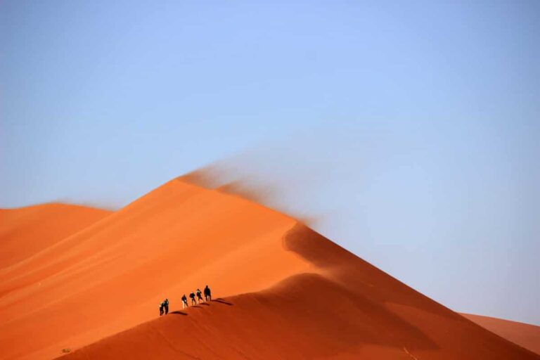 pensées mindfulness