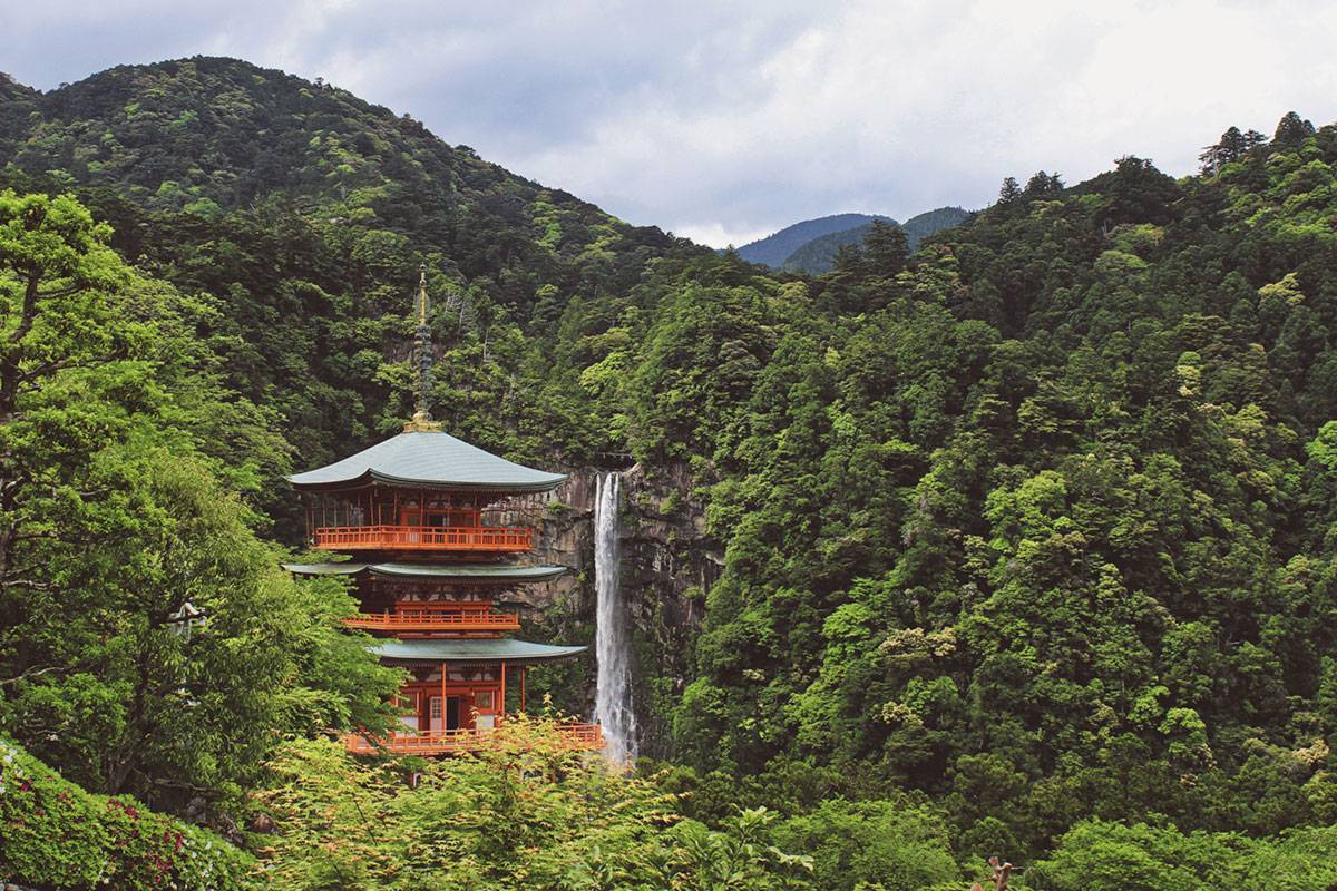 Bain de forêt au Japon