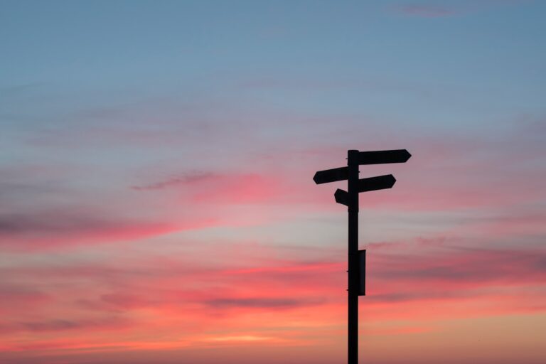 Choisir les directions - Dissonance cognitive